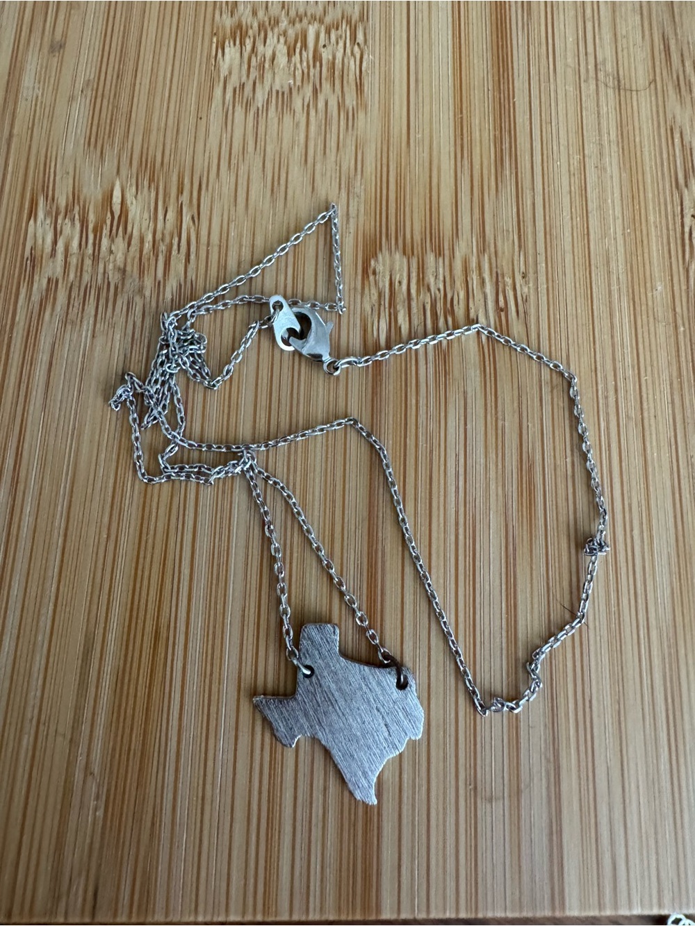Silver Texas Pendant Necklace - State Silhouette